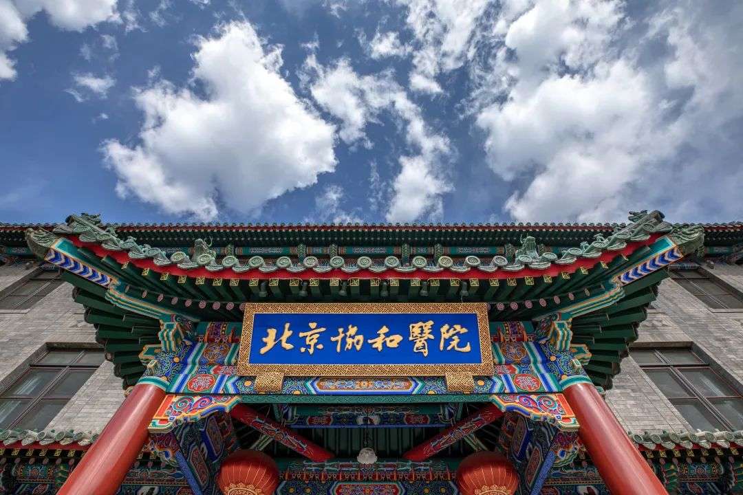 北京协和医院01.jpeg