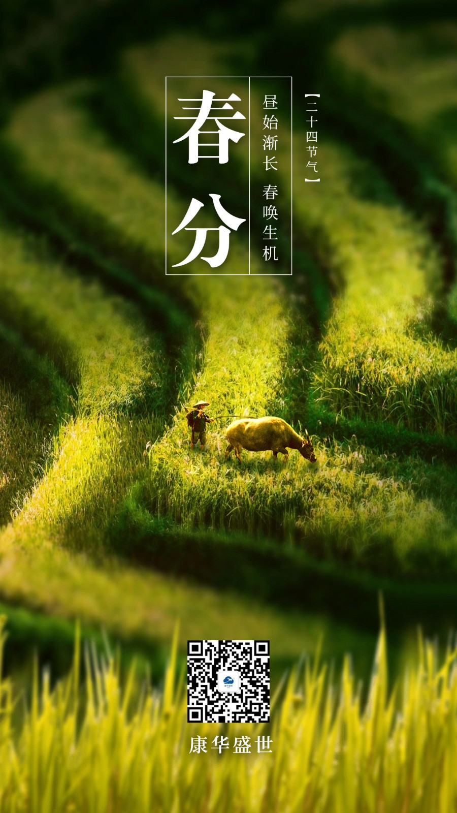 1742384927540853.jpg 春分04.jpg