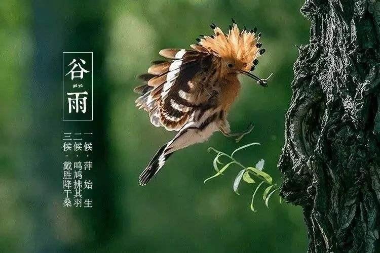 a578d94d1a4523f72774b0b7c31ab09b.jpeg
