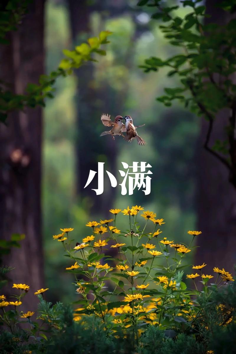 小满-03.jpeg