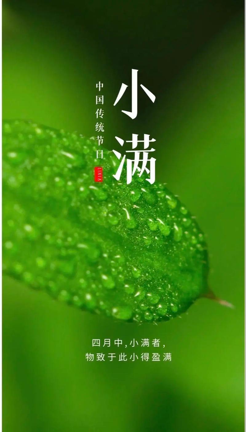 小满-01.jpeg