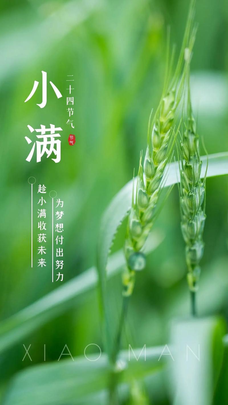 小满-02.jpeg