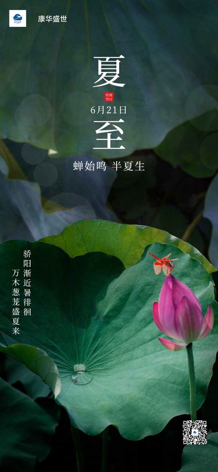 夏至节-03.jpg